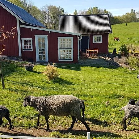 Sjoebacken Gard Bed & Breakfast Lerdala Екстериор снимка